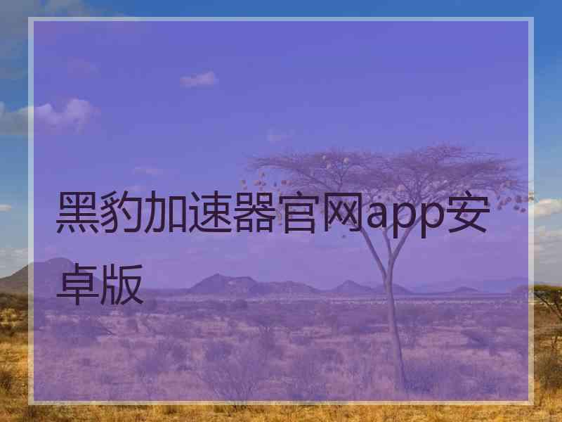 黑豹加速器官网app安卓版