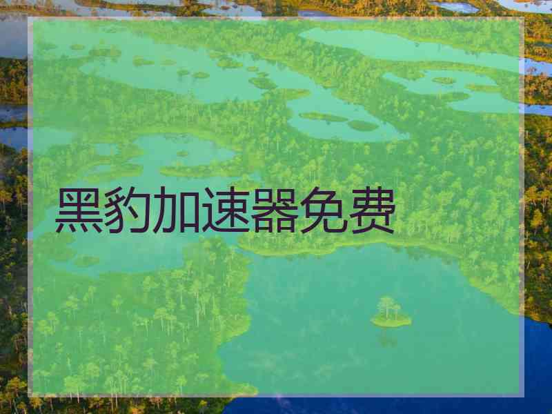黑豹加速器免费