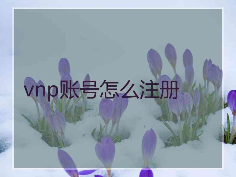 vnp账号怎么注册