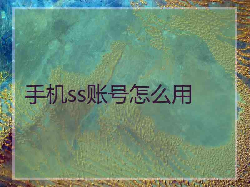手机ss账号怎么用