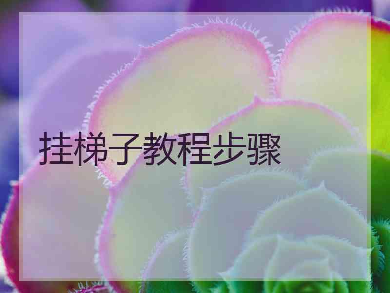 挂梯子教程步骤