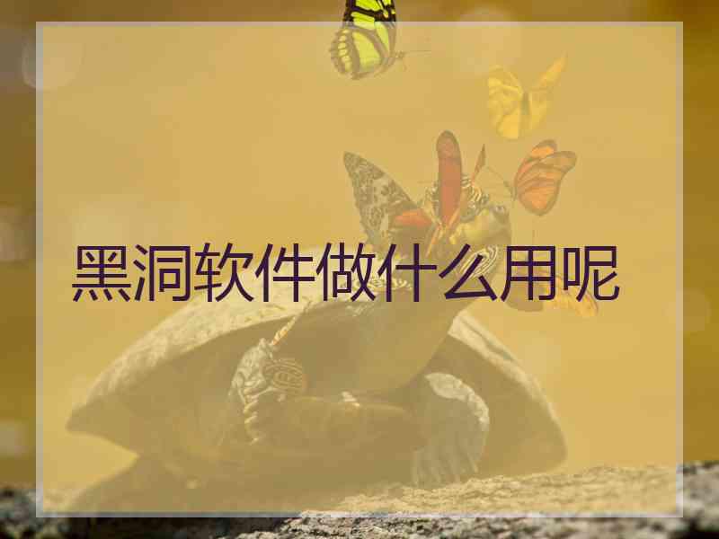 黑洞软件做什么用呢