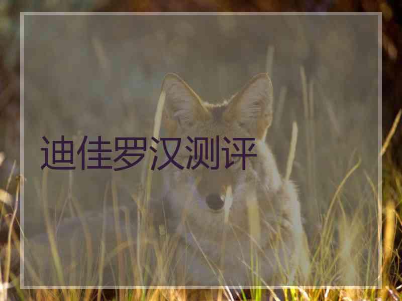 迪佳罗汉测评