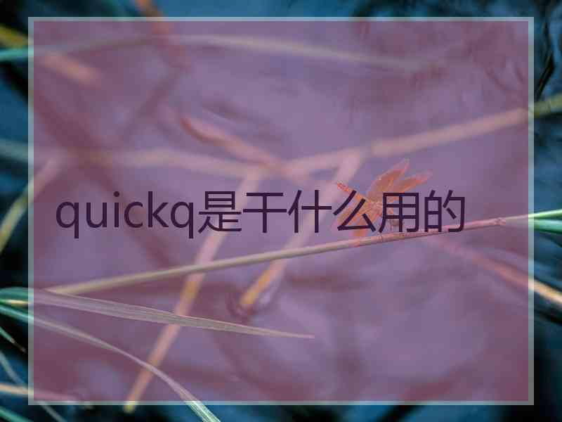quickq是干什么用的