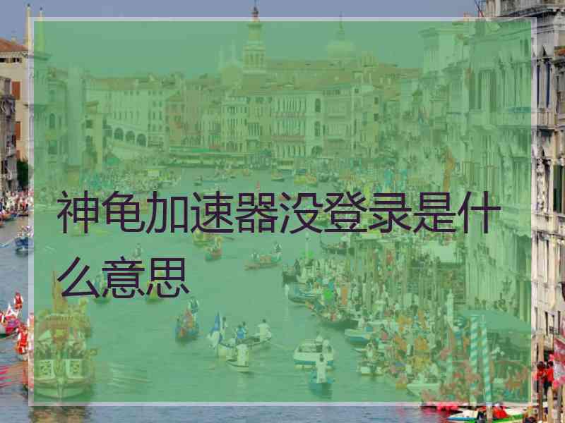 神龟加速器没登录是什么意思