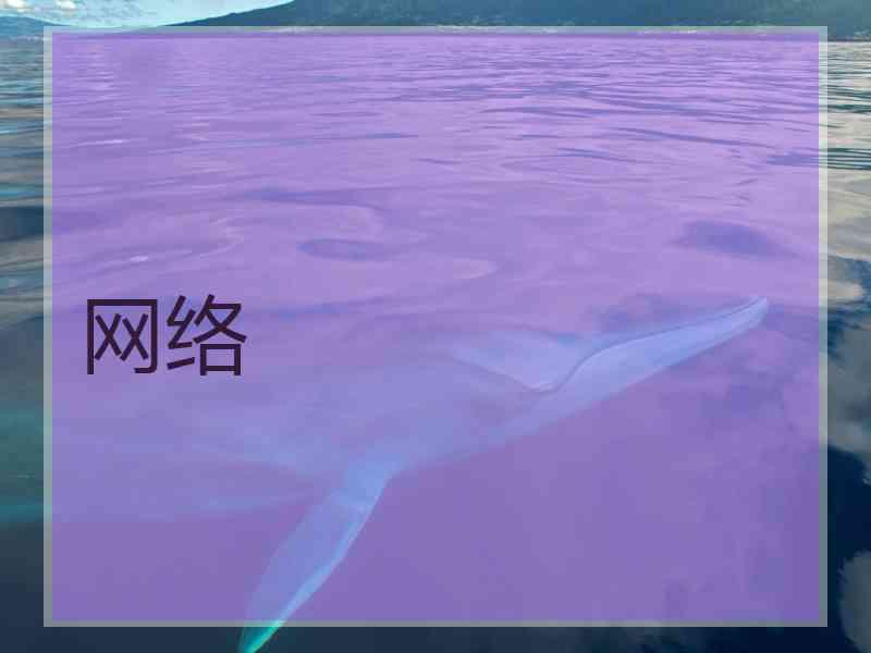 网络