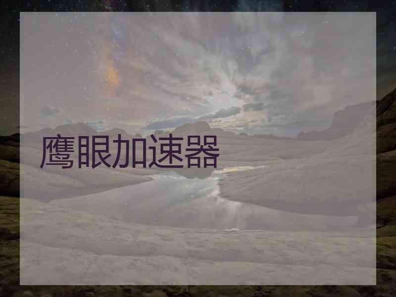 鹰眼加速器