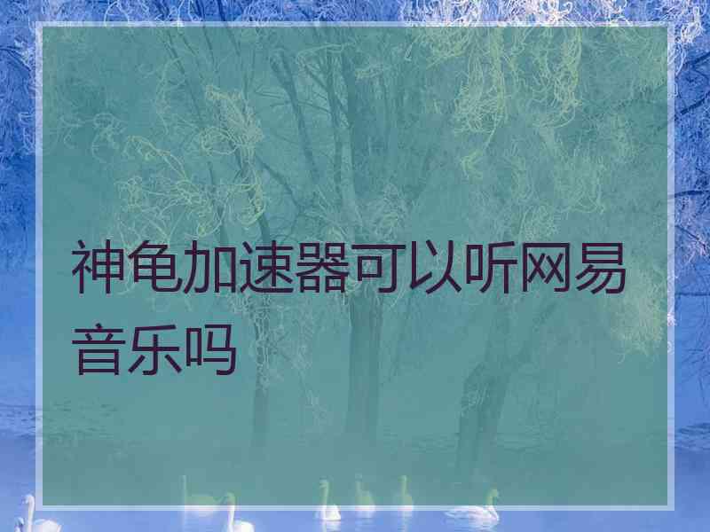 神龟加速器可以听网易音乐吗