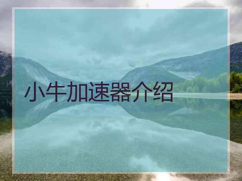 小牛加速器介绍