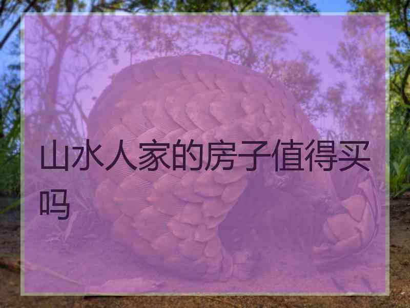 山水人家的房子值得买吗