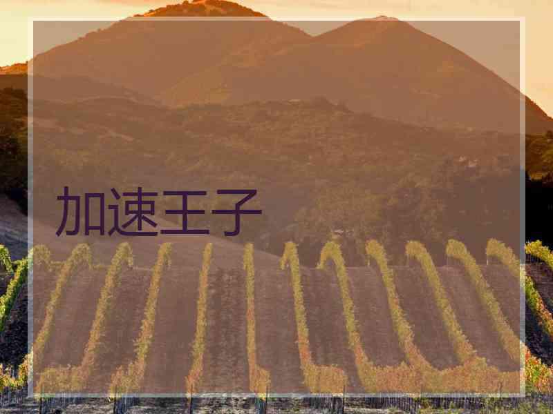 加速王子