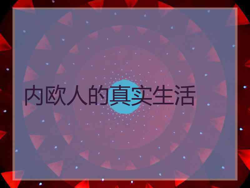 内欧人的真实生活