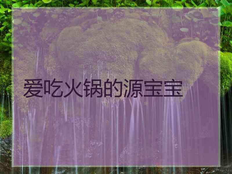 爱吃火锅的源宝宝