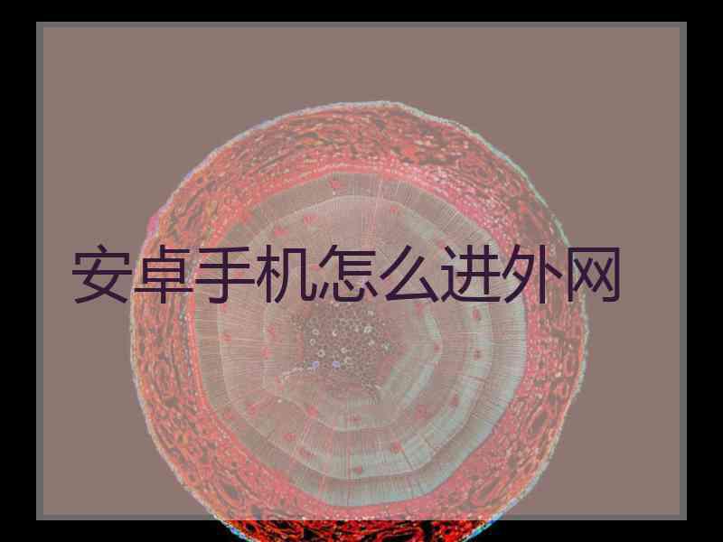 安卓手机怎么进外网