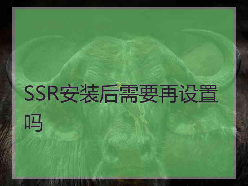 SSR安装后需要再设置吗