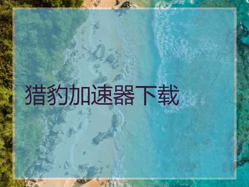 猎豹加速器下载