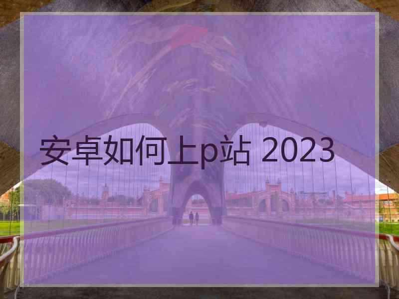 安卓如何上p站 2023