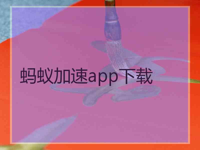 蚂蚁加速app下载