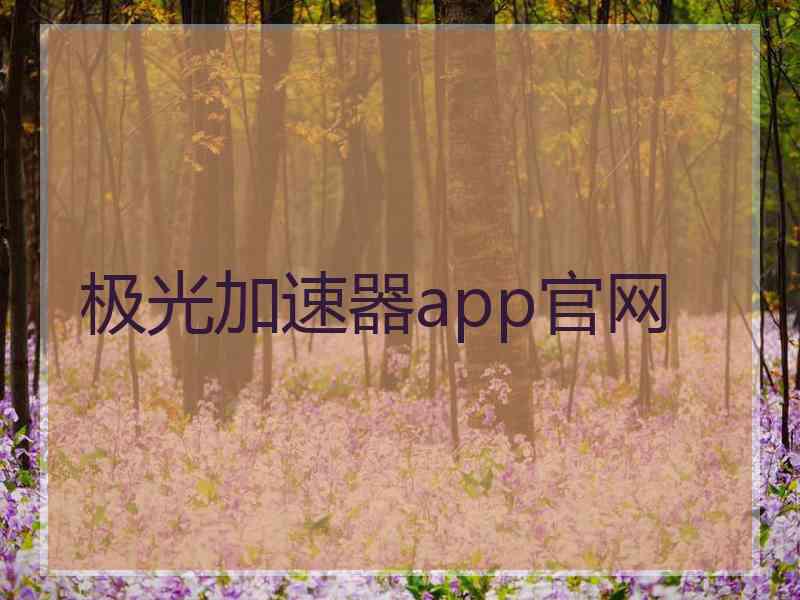 极光加速器app官网