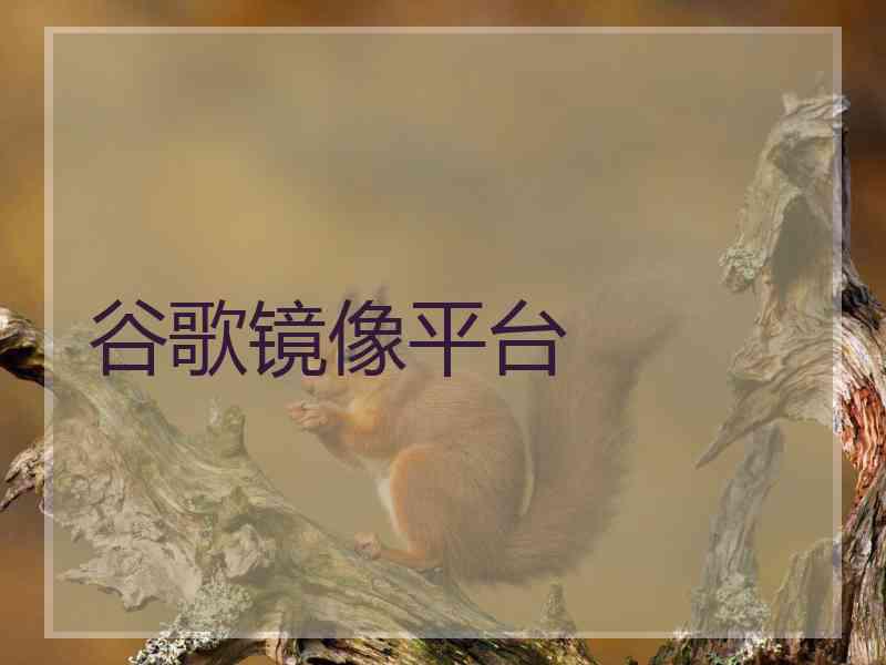 谷歌镜像平台