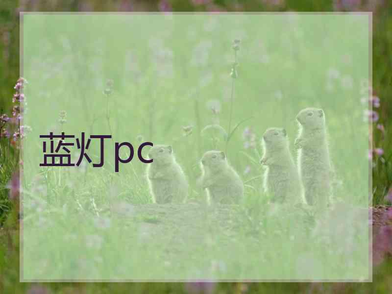 蓝灯pc
