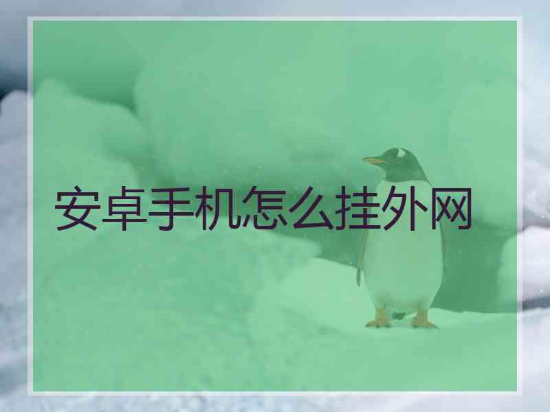 安卓手机怎么挂外网