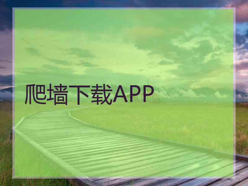 爬墙下载APP