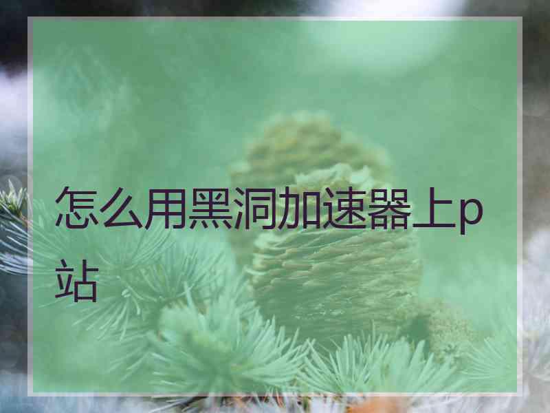 怎么用黑洞加速器上p站