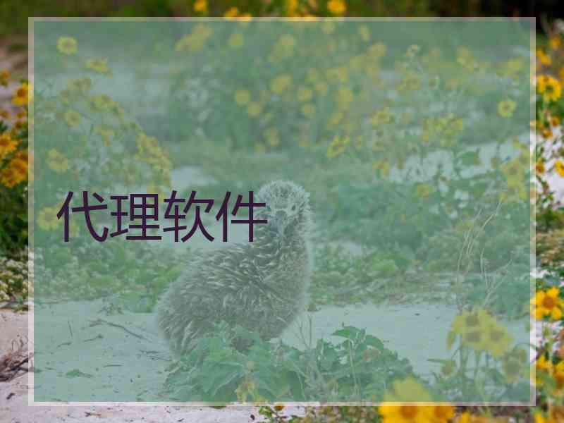 代理软件