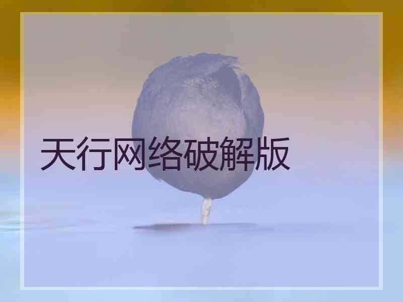天行网络破解版