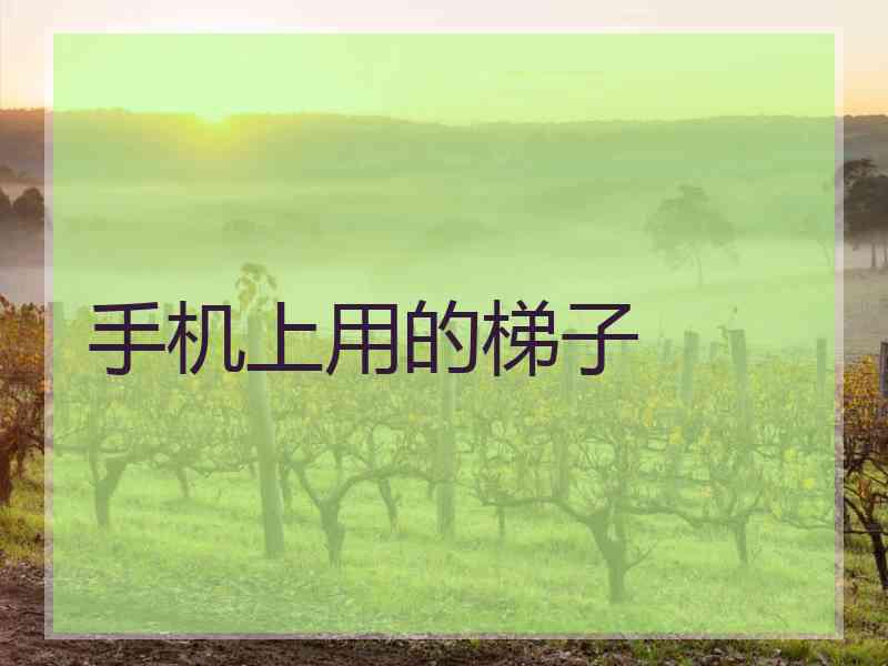 手机上用的梯子