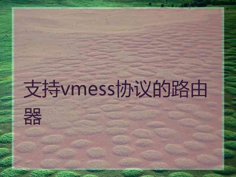 支持vmess协议的路由器