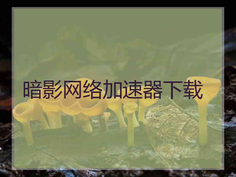 暗影网络加速器下载