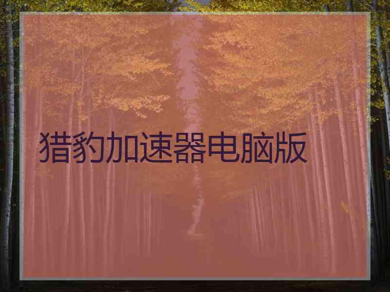猎豹加速器电脑版