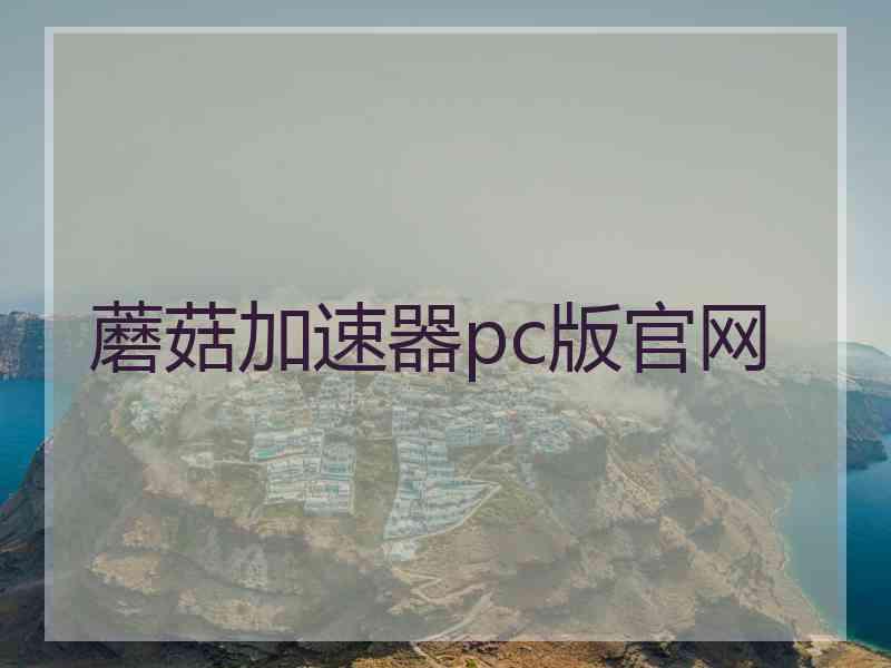 蘑菇加速器pc版官网