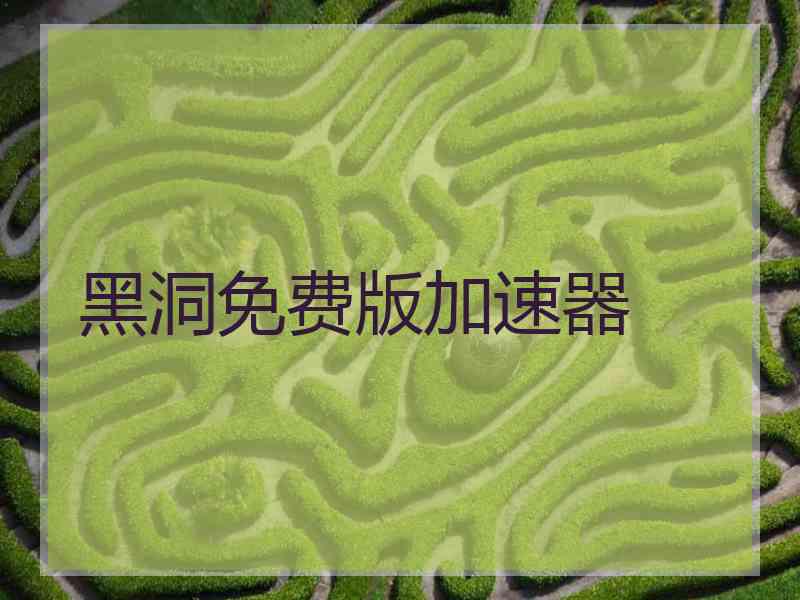 黑洞免费版加速器