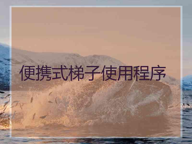 便携式梯子使用程序