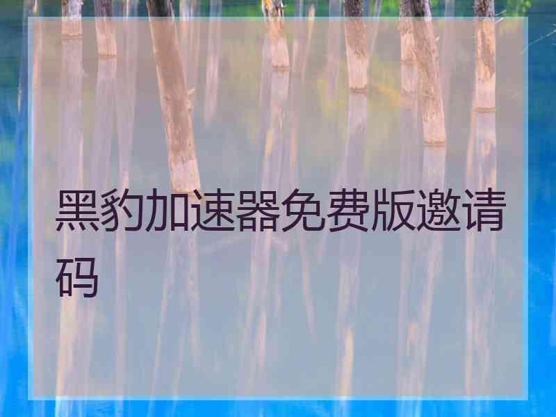 黑豹加速器免费版邀请码