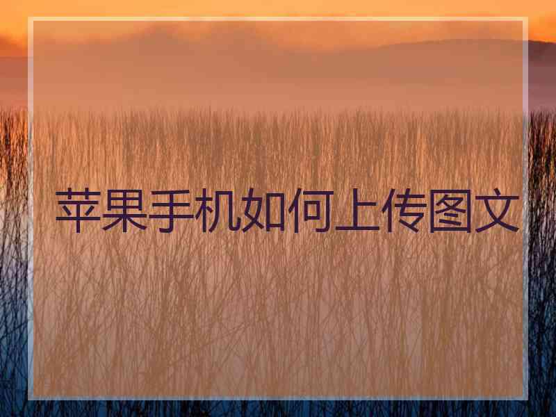 苹果手机如何上传图文