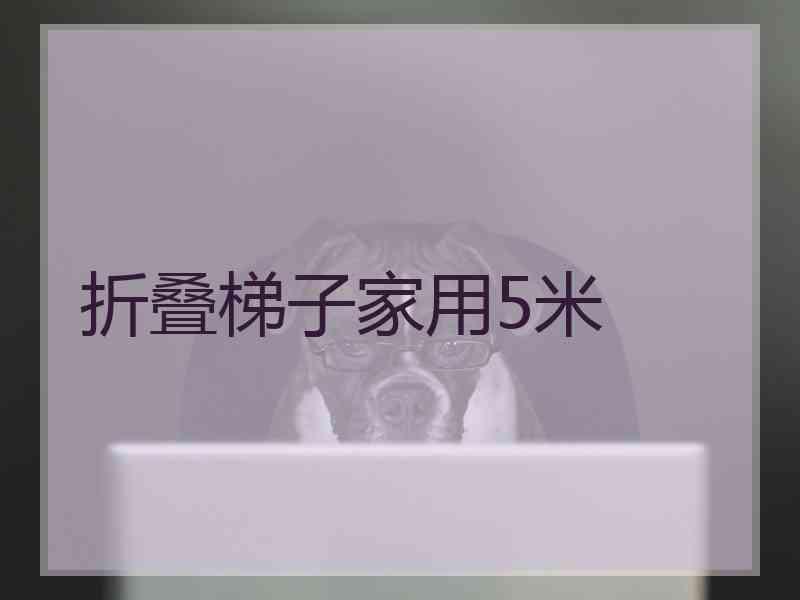 折叠梯子家用5米