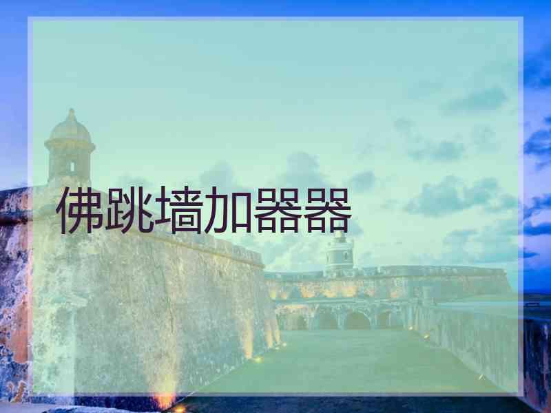 佛跳墙加器器