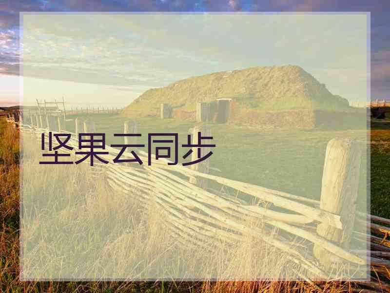 坚果云同步