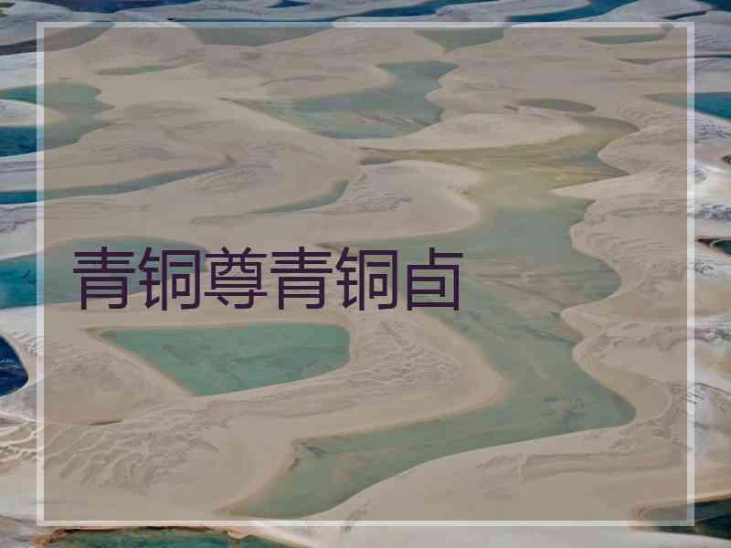 青铜尊青铜卣