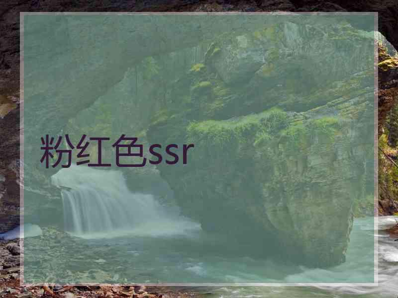 粉红色ssr
