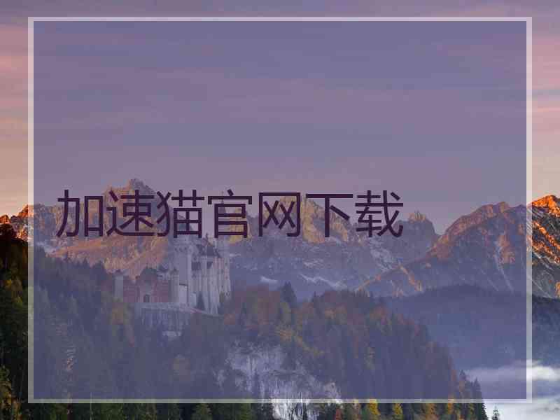 加速猫官网下载