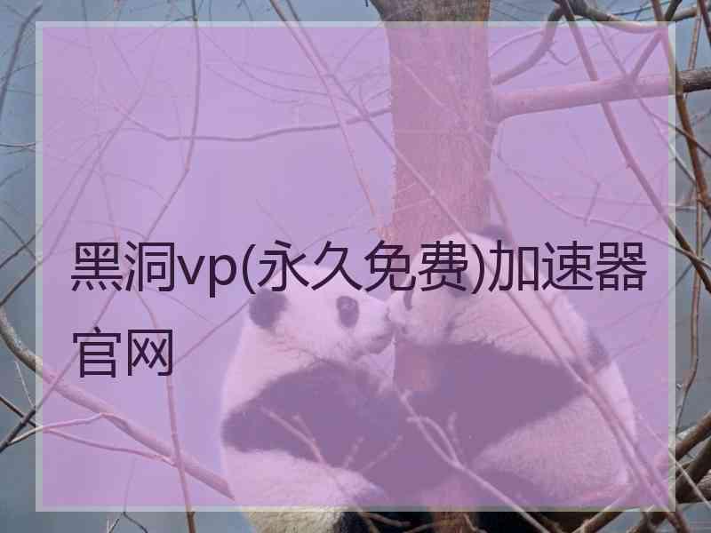 黑洞vp(永久免费)加速器官网