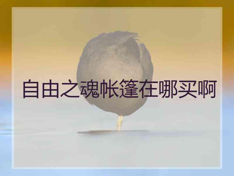 自由之魂帐篷在哪买啊