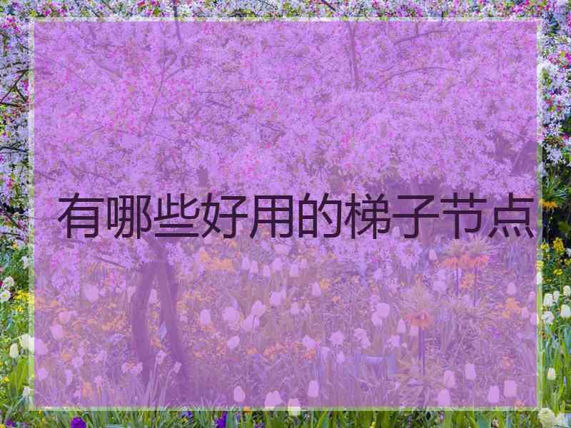 有哪些好用的梯子节点