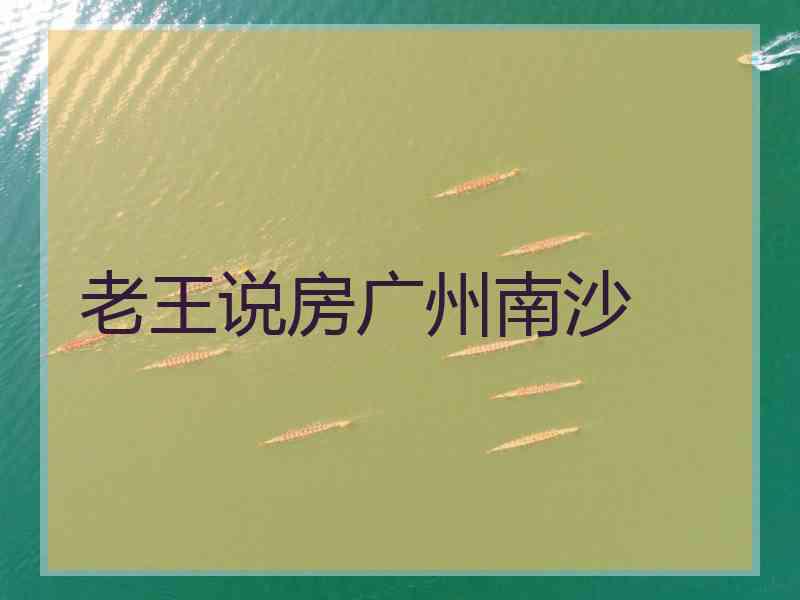 老王说房广州南沙