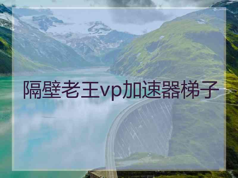 隔壁老王vp加速器梯子
